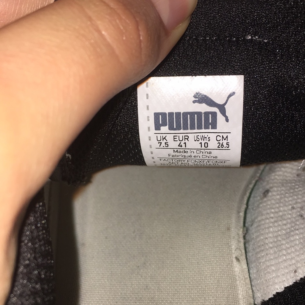 Pumas - Picture 4 of 4